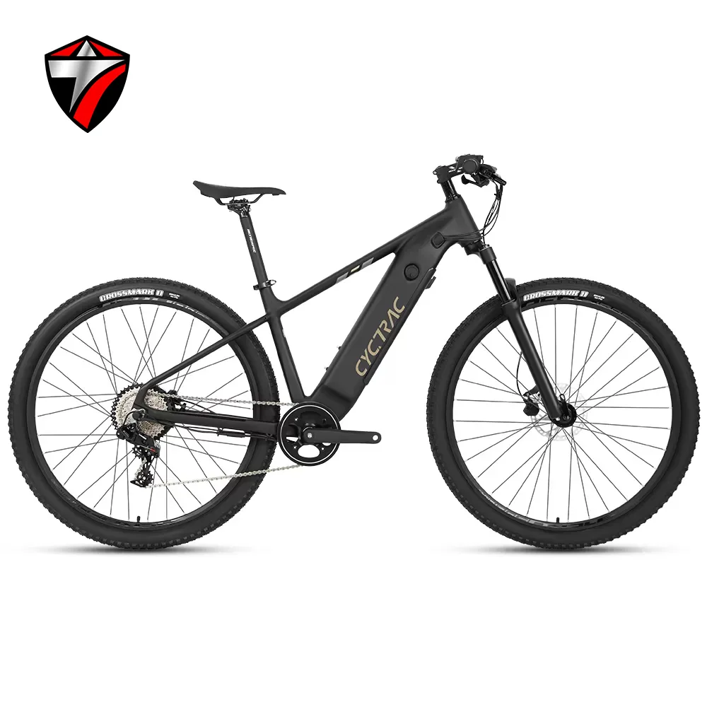 E-Bike
