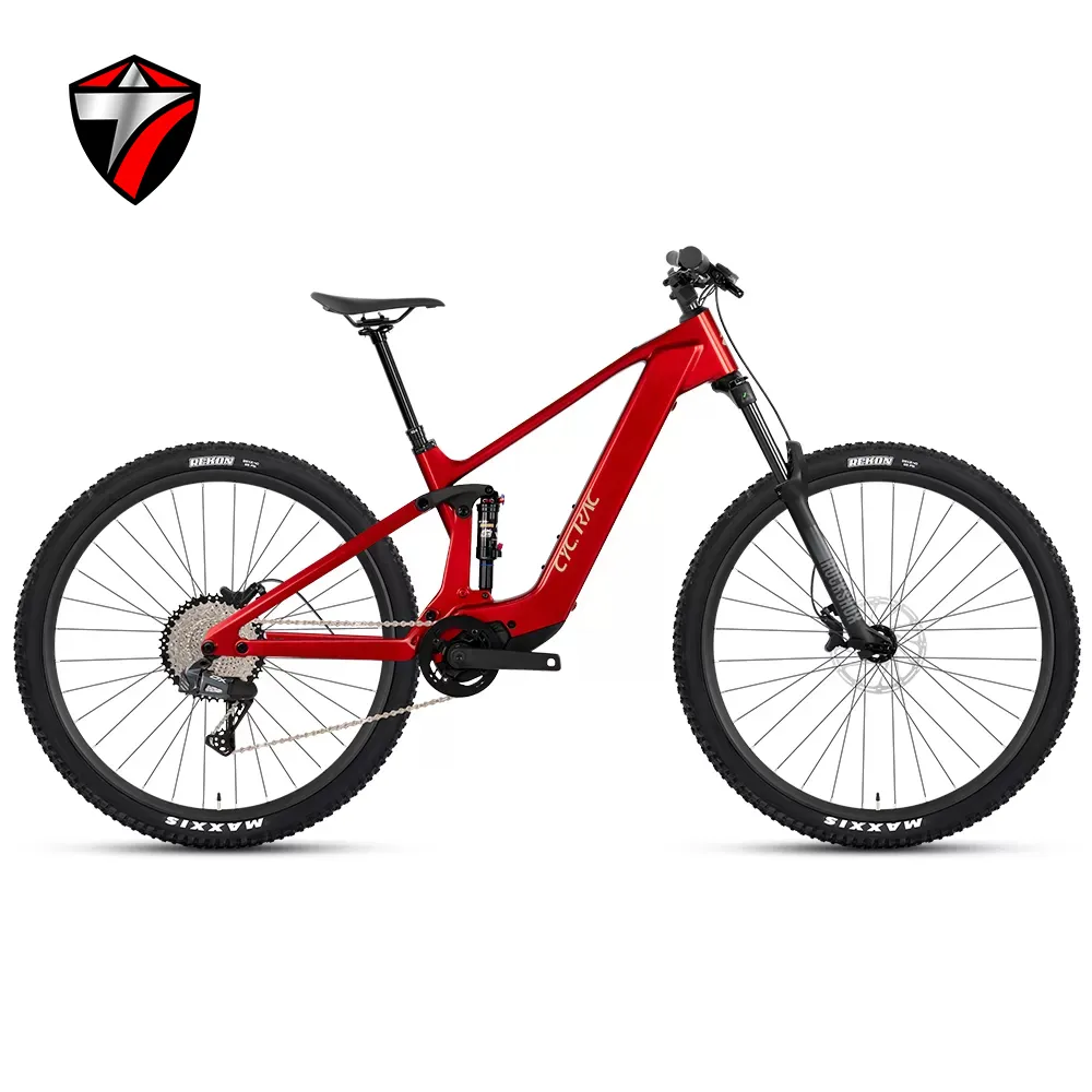 Carbon Fiber Bike