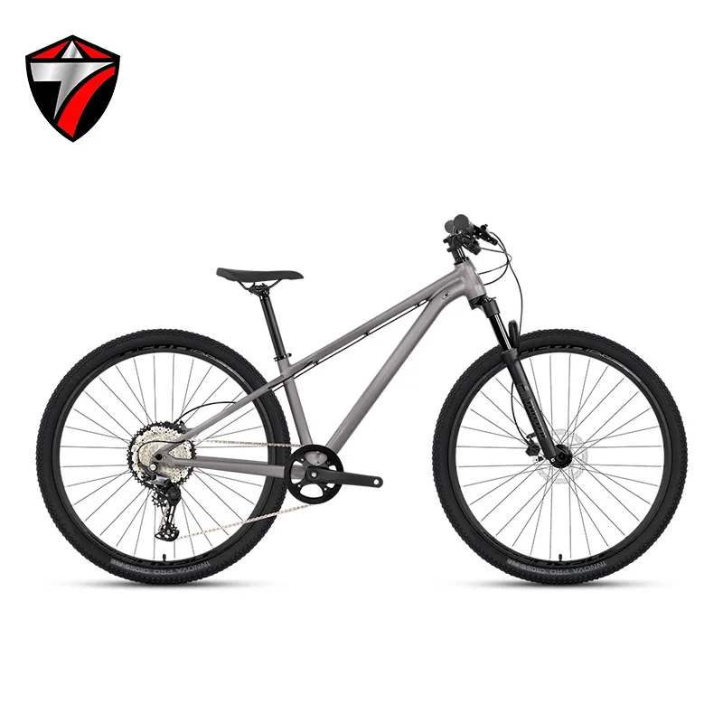 GTR (SP)  mountain bike